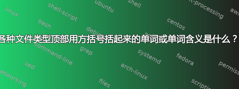 各种文件类型顶部用方括号括起来的单词或单词含义是什么？