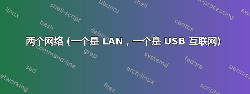 两个网络 (一个是 LAN，一个是 USB 互联网)