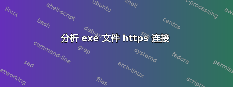 分析 exe 文件 https 连接