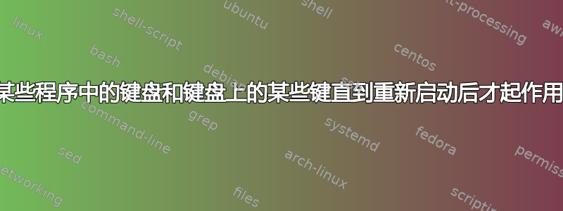 某些程序中的键盘和键盘上的某些键直到重新启动后才起作用