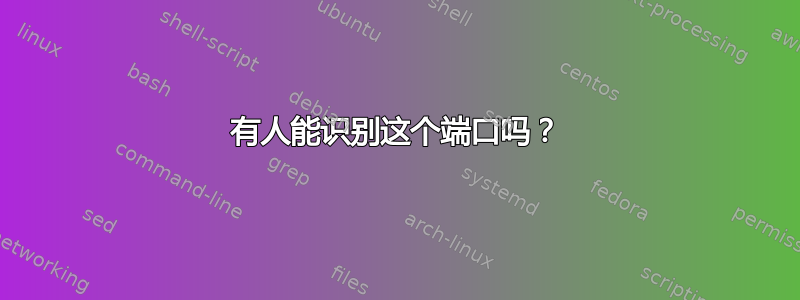 有人能识别这个端口吗？