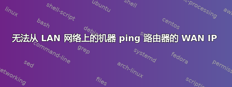 无法从 LAN 网络上的机器 ping 路由器的 WAN IP