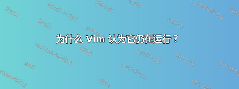 为什么 Vim 认为它仍在运行？