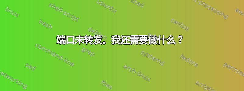 端口未转发。我还需要做什么？