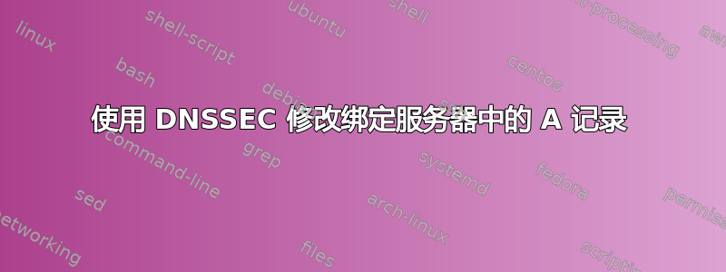 使用 DNSSEC 修改绑定服务器中的 A 记录