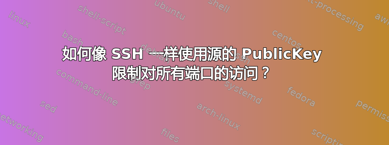 如何像 SSH 一样使用源的 PublicKey 限制对所有端口的访问？