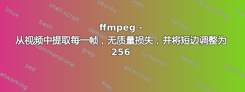 ffmpeg - 从视频中提取每一帧，无质量损失，并将短边调整为 256