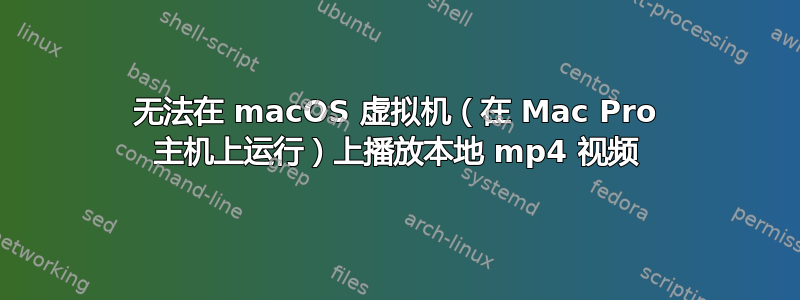 无法在 macOS 虚拟机（在 Mac Pro 主机上运行）上播放本地 mp4 视频