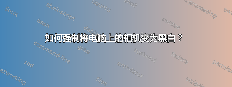 如何强制将电脑上的相机变为黑白？