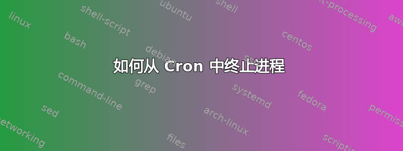 如何从 Cron 中终止进程