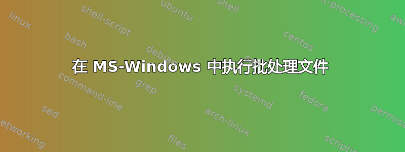 在 MS-Windows 中执行批处理文件