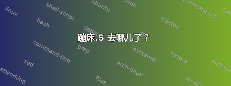 蹦床.S 去哪儿了？