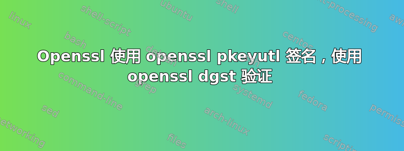 Openssl 使用 openssl pkeyutl 签名，使用 openssl dgst 验证