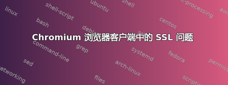 Chromium 浏览器客户端中的 SSL 问题