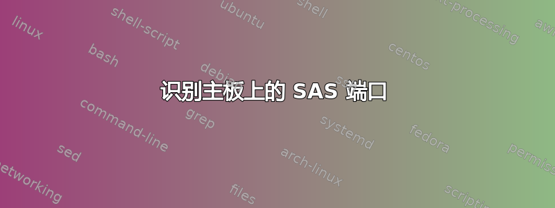 识别主板上的 SAS 端口