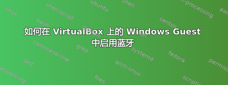 如何在 VirtualBox 上的 Windows Guest 中启用蓝牙