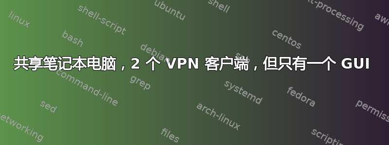 共享笔记本电脑，2 个 VPN 客户端，但只有一个 GUI