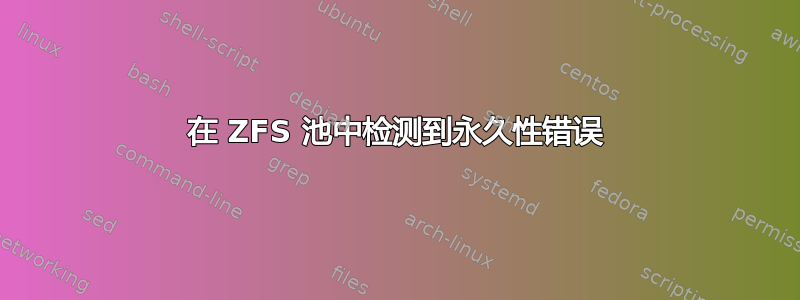 在 ZFS 池中检测到永久性错误