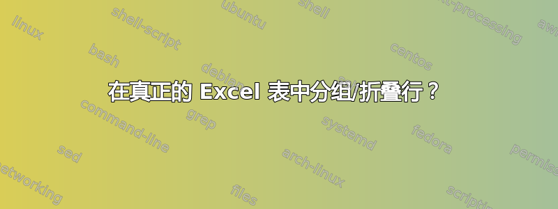 在真正的 Excel 表中分组/折叠行？