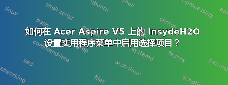 如何在 Acer Aspire V5 上的 InsydeH2O 设置实用程序菜单中启用选择项目？