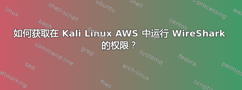 如何获取在 Kali Linux AWS 中运行 WireShark 的权限？