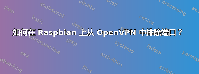 如何在 Raspbian 上从 OpenVPN 中排除端口？