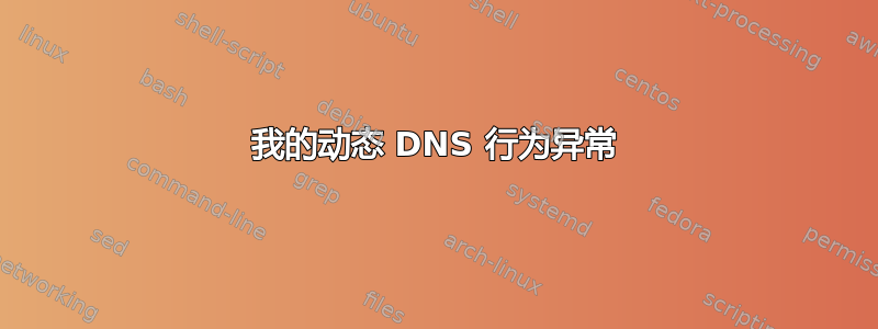 我的动态 DNS 行为异常