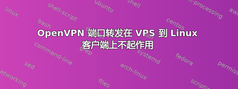 OpenVPN 端口转发在 VPS 到 Linux 客户端上不起作用