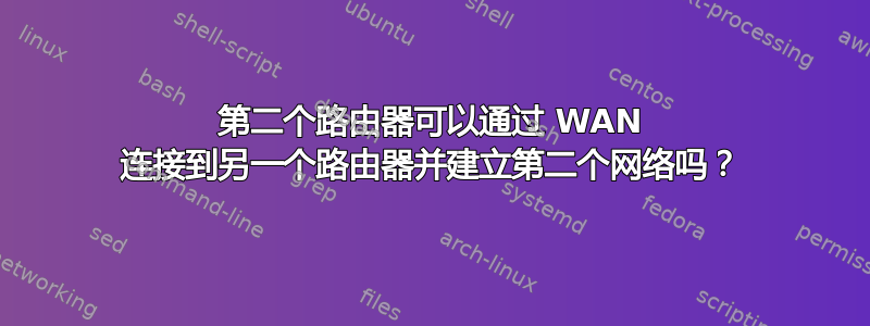 第二个路由器可以通过 WAN 连接到另一个路由器并建立第二个网络吗？