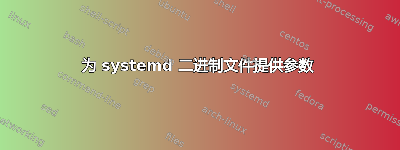 为 systemd 二进制文件提供参数