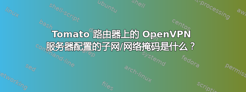 Tomato 路由器上的 OpenVPN 服务器配置的子网/网络掩码是什么？