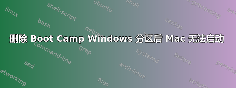 删除 Boot Camp Windows 分区后 Mac 无法启动