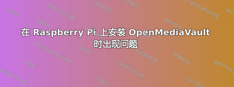 在 Raspberry Pi 上安装 OpenMediaVault 时出现问题