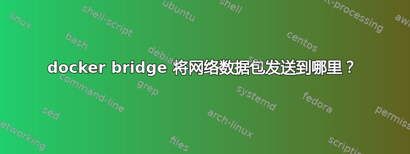 docker bridge 将网络数据包发送到哪里？