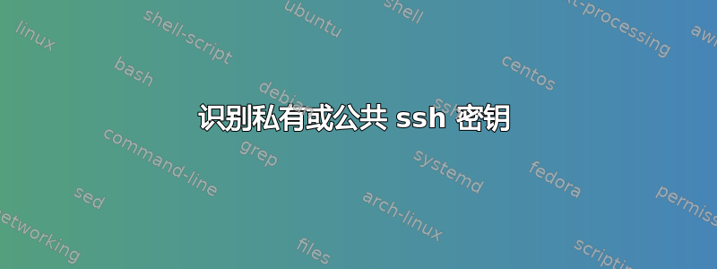 识别私有或公共 ssh 密钥