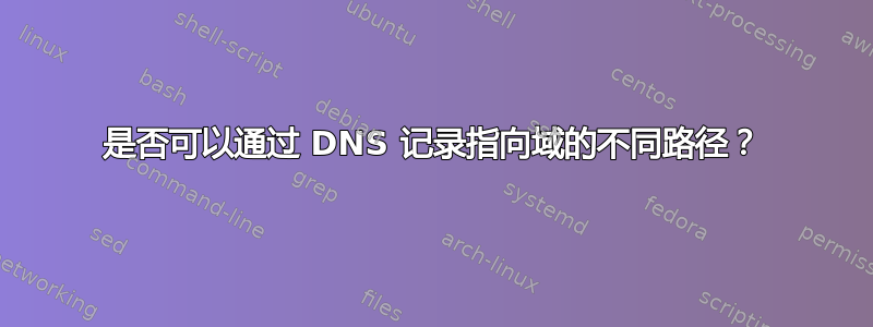 是否可以通过 DNS 记录指向域的不同路径？