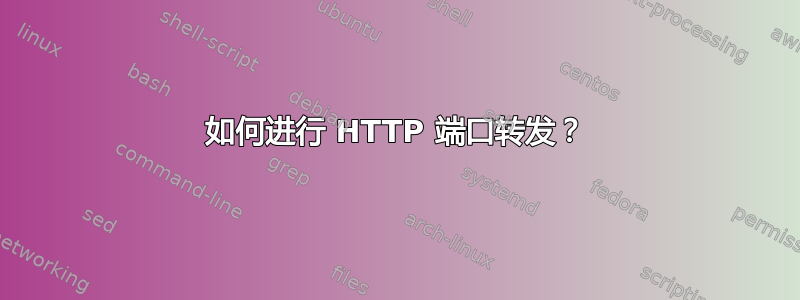 如何进行 HTTP 端口转发？