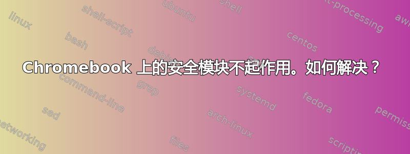 Chromebook 上的安全模块不起作用。如何解决？