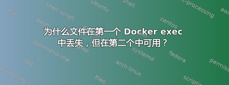 为什么文件在第一个 Docker exec 中丢失，但在第二个中可用？