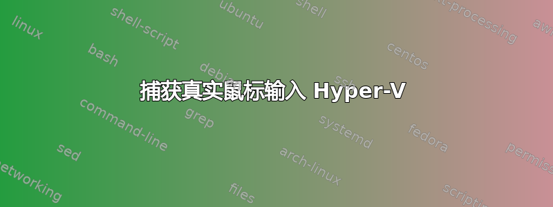 捕获真实鼠标输入 Hyper-V