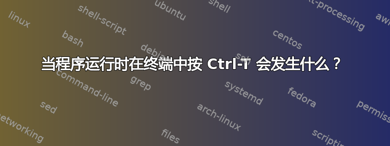 当程序运行时在终端中按 Ctrl-T 会发生什么？