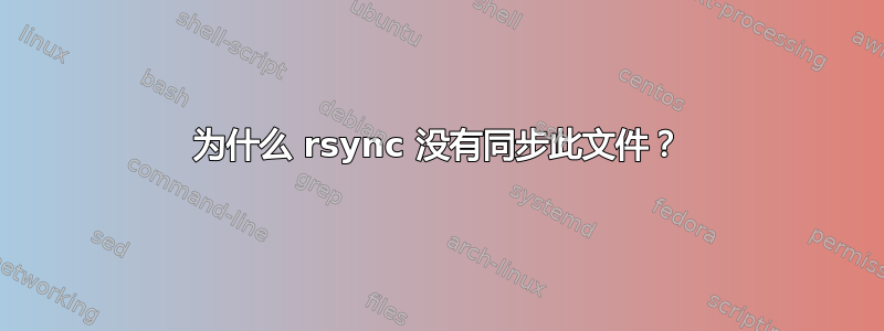 为什么 rsync 没有同步此文件？