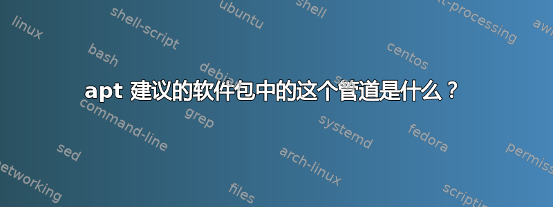 apt 建议的软件包中的这个管道是什么？