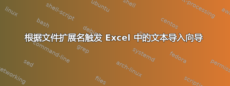 根据文件扩展名触发 Excel 中的文本导入向导