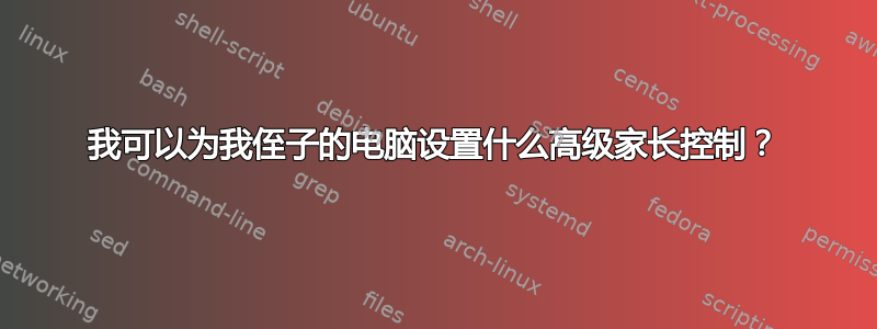 我可以为我侄子的电脑设置什么高级家长控制？