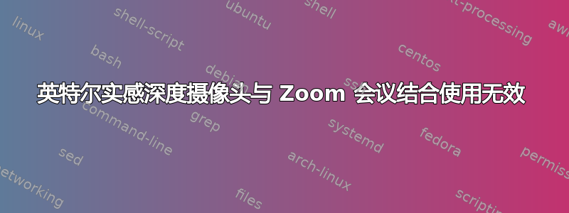 英特尔实感深度摄像头与 Zoom 会议结合使用无效