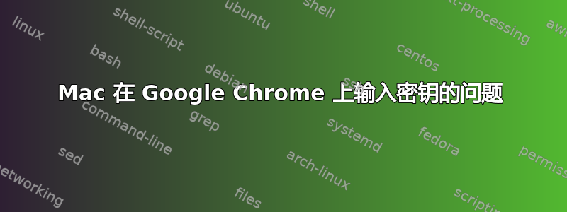 Mac 在 Google Chrome 上输入密钥的问题