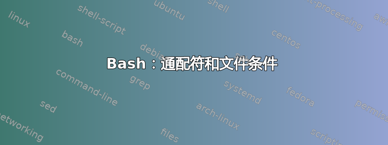 Bash：通配符和文件条件