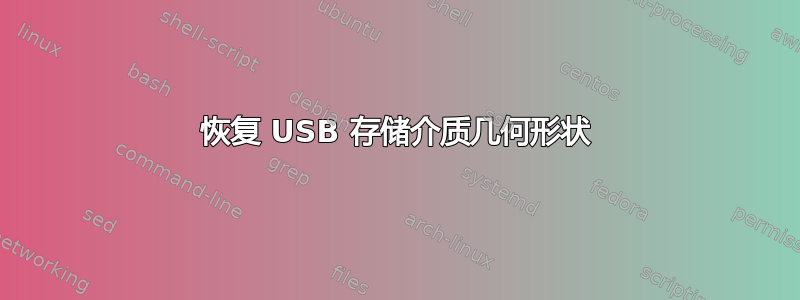 恢复 USB 存储介质几何形状