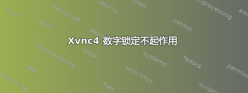 Xvnc4 数字锁定不起作用